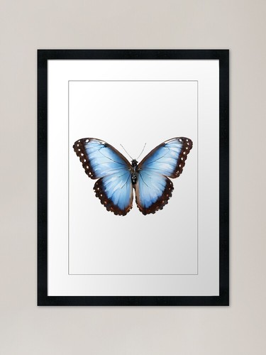 Blue morpho - morpho, (morpho