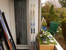 Langlaufski SALOMON ELITE 5, GRIP,  190 cm mit SNS PROFIL Bindung, GUT! (51)