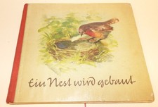 Ein Nest wird gebaut