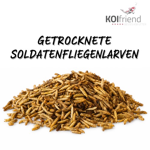 Soldatenfliegenlarven kg - soldatenfliegenlarven,