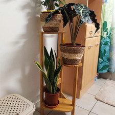 Pflanze Etagere Blumentreppe