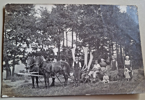 Altes foto vintage - altes,
