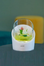 Tiziano Windlicht Calvo LED