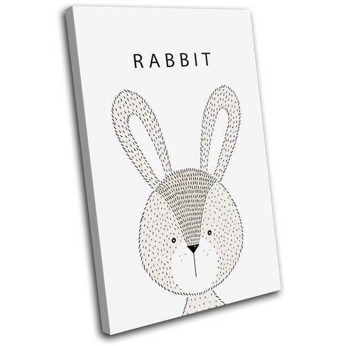 Cute rabbit animal - cute, for