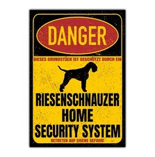 Riesenschnauzer Schnauzer