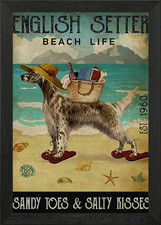 Englischer Setter Hund