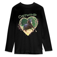 Ostwind Der Große Orkan Ein