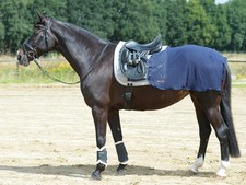 Busse trainingsdecke fly - busse,
