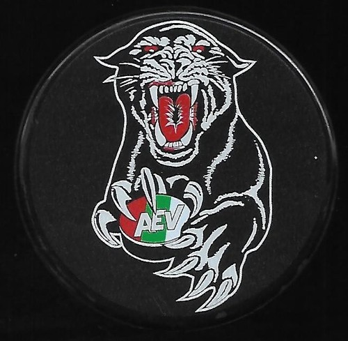 Eishockey puck emblem - puck,