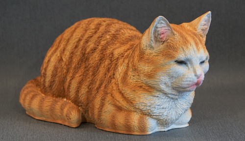 Katze schlafend rotbraun - ,