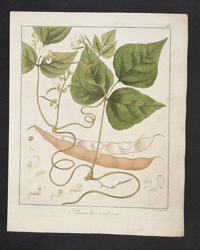 Kupferstich 1835 text - kupferstich,