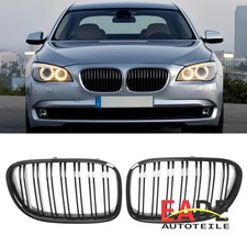 KÜHLERGRILL NIEREN GLANZ