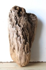 Treibholz Schwemmholz