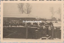 Foto, 11 I.R.32, Beute Geschütz Lager vor Witebsk, Russland (MJ-17)