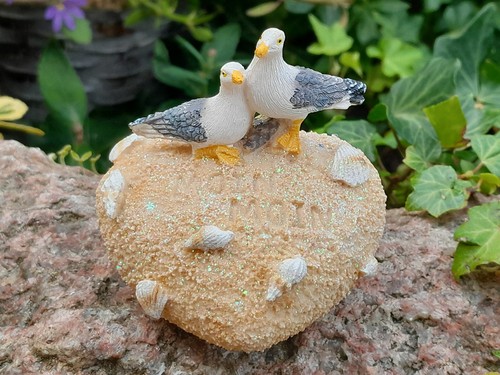Möwen herz sand - möwen,