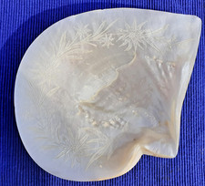 Antik Muschel Perlmutt