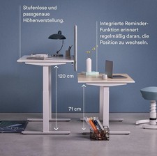 Aeris Active Desk