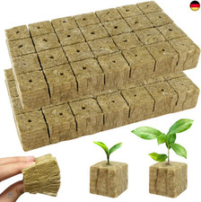 BSTDAYEVER Steinwolle Anzucht