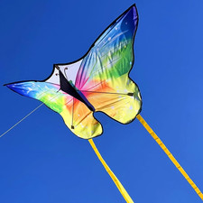 Schmetterling Drachen