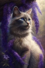 Sommersweat Katze Lila 60x80cm