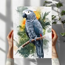 Graupapagei Vogel Premium