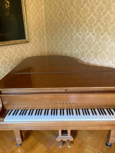 Yamaha flügel braun - g2,