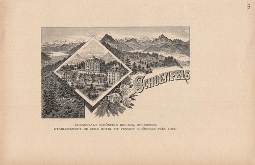 Kuranstalt schönfels bei zug - kuranstalt,