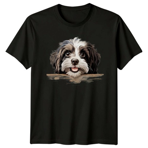Süßes shih tzu - shih,