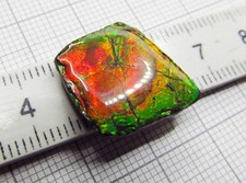 Ammolit, Ammolite, Ammolith "Drachenschuppe" ca. 17 x 16 x 4 mm, ca. 12,1 Karat!