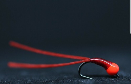 Roter blutwurm flexi - 3,