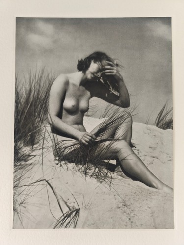Bruno schultz frauenakt - schultz,