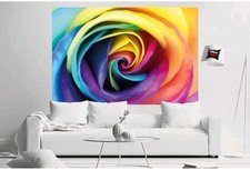 Fototapete - Regenbogen Rose