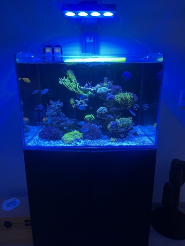 Meerwasseraquarium komplettset - meerwasseraquarium,
