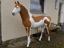 Pferd lebensgroß braun weiß - pferd,