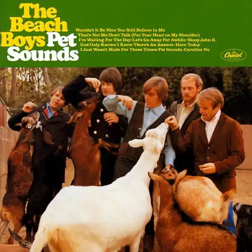 The beach boys - boys, pet