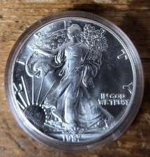 USA  Silver Eagle  (Wählen