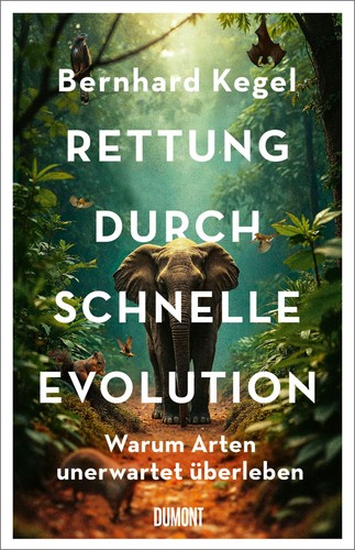 Rettung durch schnelle