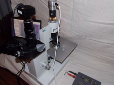 Leitz Diavert Inversmikroskop