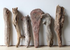 Treibholz Schwemmholz Driftwood 6 knorrige   Hölzer  Basteln  27 -  36 cm