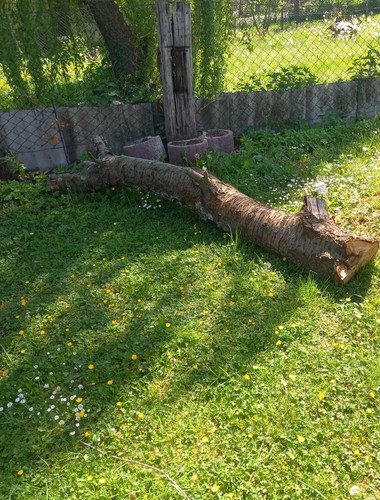 Großer naturbelassener