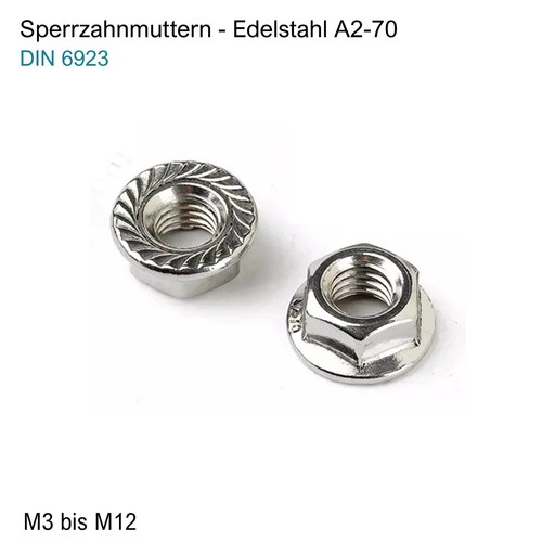 Sperrzahnmutter edelstahl - sperrzahnmutter,