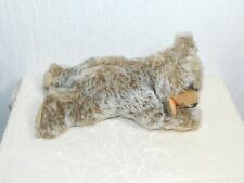 Liegender Teddy Bär wohl