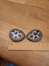 Septarie 4 cm Konkretionen Septarien 43g  Heilstein 