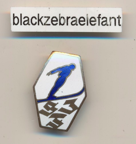 2065 abzeichen nadel - 2065, ski