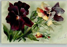 38075314 - Hornveilchen Klein