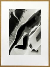 László Moholy-Nagy Akt