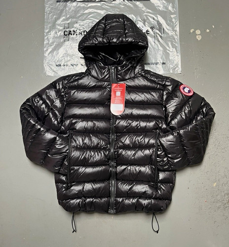 Canada goose arctic - canada,