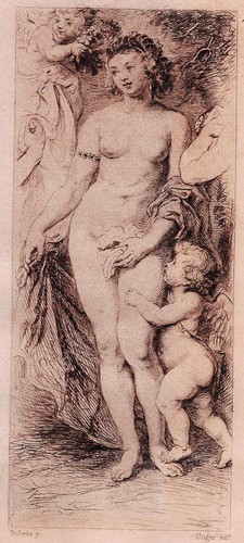 Venus amor kupfer m - m., rad
