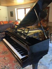 Blüthner Stutz-Flügel Aliquot neu gestimmt 1.80 x 1.60 m schwarz 1933 Mechanik