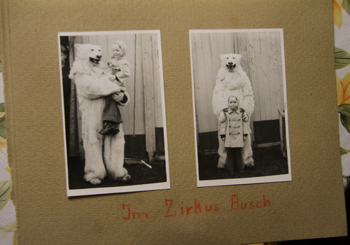 Foto eisbär kostüm zirkus - foto,